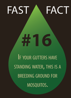 Standing Water In Gutters