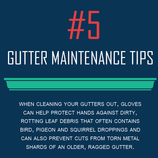 Gutter Cleaning Gloves