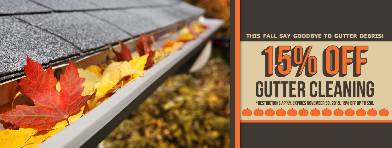 Fall Gutter Cleaning Special.